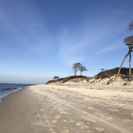 Ferienwohnung Tiffany Prerow Exteriér fotografie