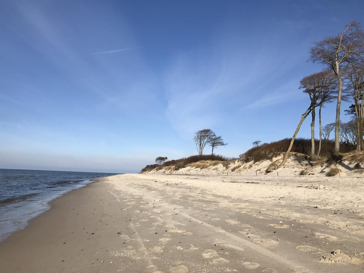 Ferienwohnung Tiffany Prerow Exteriér fotografie